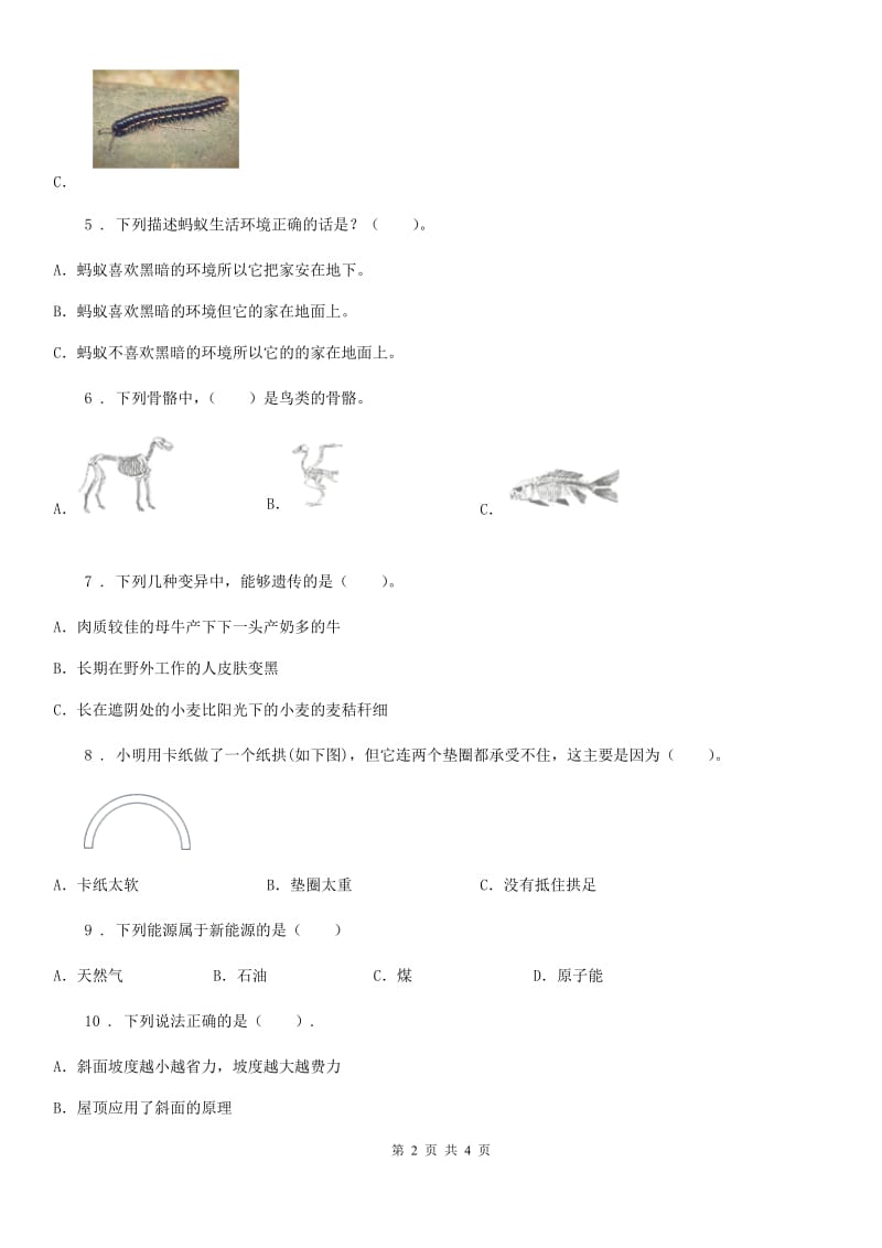 北京市科学六年级上册滚动测试（十三）_第2页