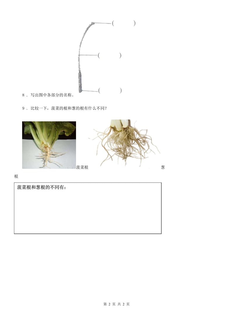 北京市科学一年级上册第一单元全练全测_第2页