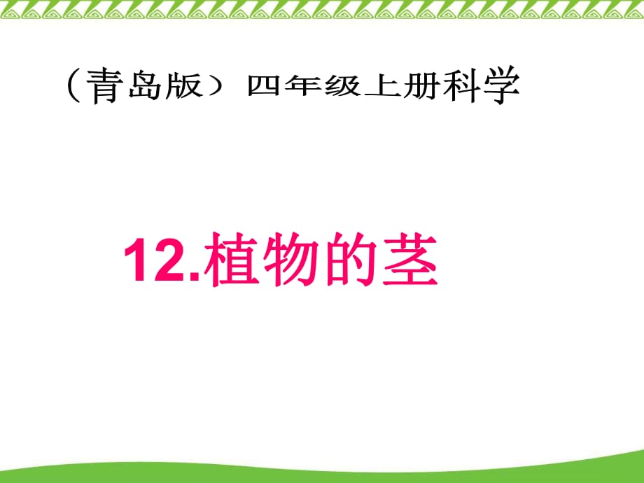 青島版小學科學四年級上冊第12課《植物的莖》_第1頁