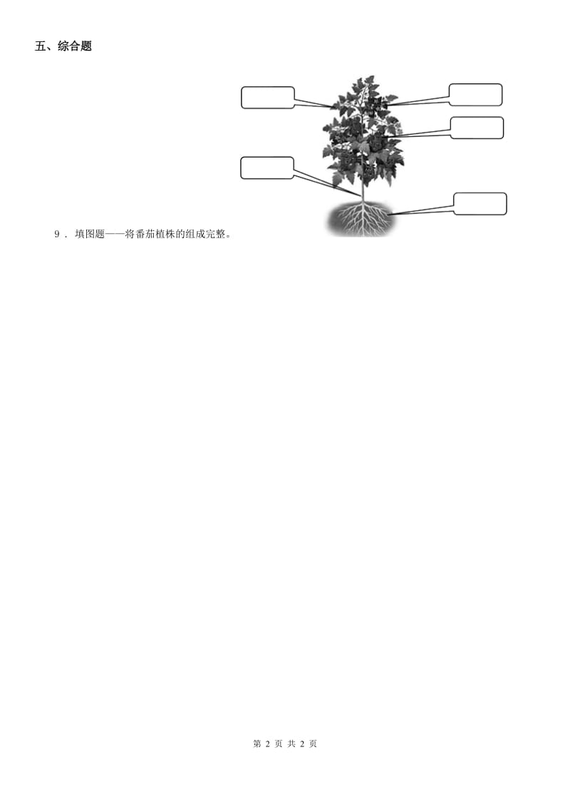 科学2019-2020年一年级上册1.3 观察叶练习卷（I）卷_第2页