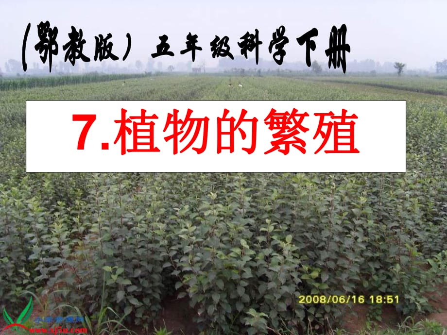 鄂教版小學(xué)科學(xué)五年級下冊《植物的繁殖》_第1頁