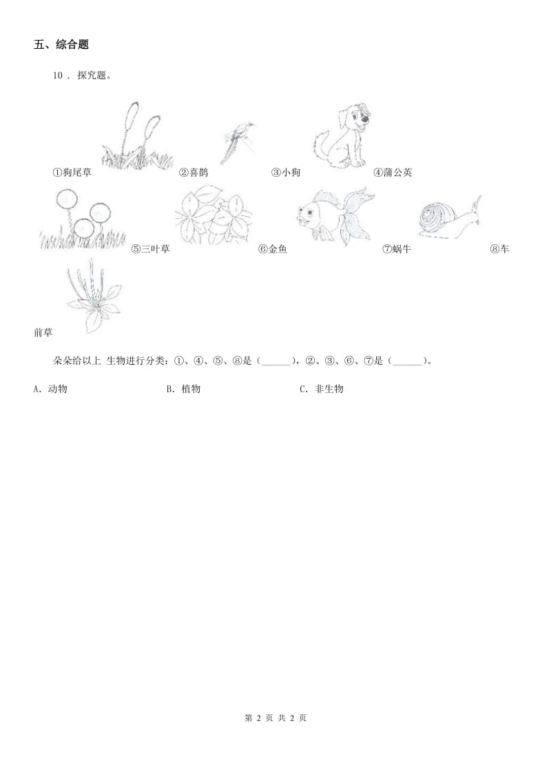 科学2020版六年级上册1.4 种类繁多的动物练习卷（I）卷（模拟）_第2页