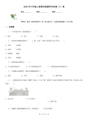 2020年六年級上冊期末檢測科學(xué)試卷（I）卷