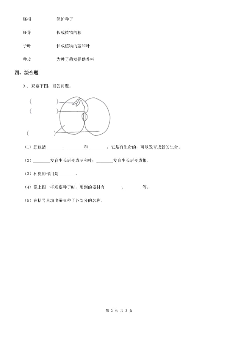 科学2020年一年级上册4.这是谁的叶（II）卷_第2页