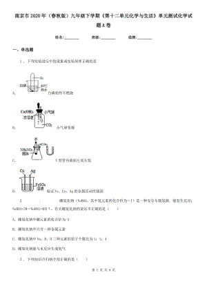 南京市2020年（春秋版）九年級(jí)下學(xué)期《第十二單元化學(xué)與生活》單元測(cè)試化學(xué)試題A卷