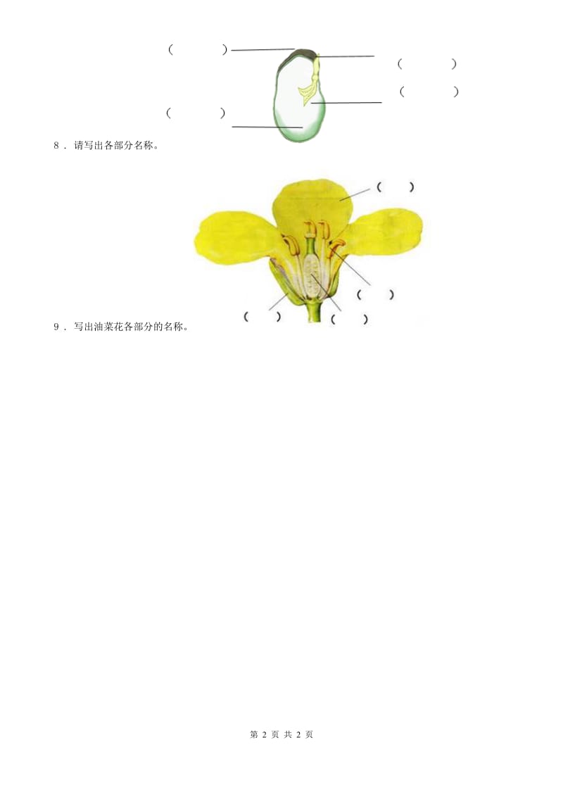 科学2020届一年级上册第一单元全练全测C卷_第2页