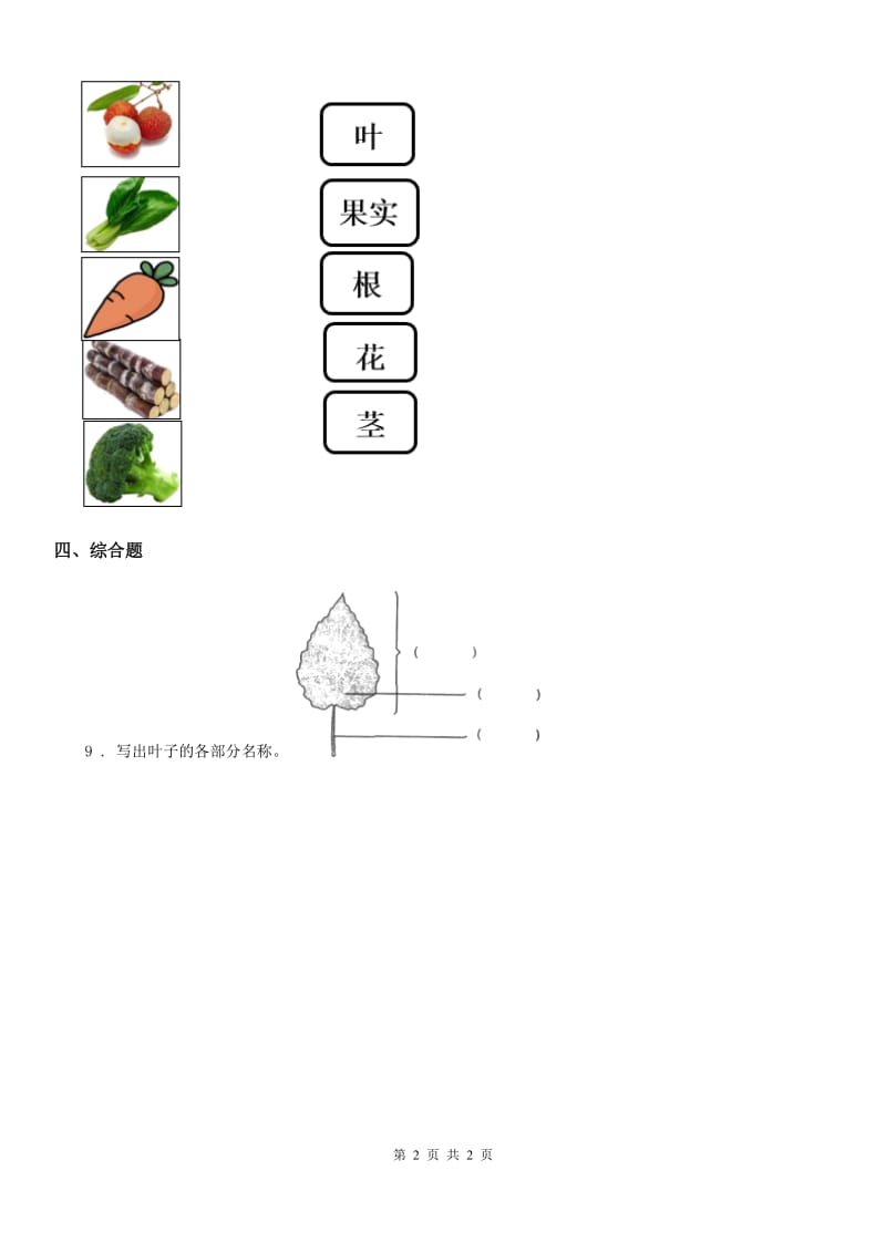 科学2020年一年级上册4.这是谁的叶B卷_第2页