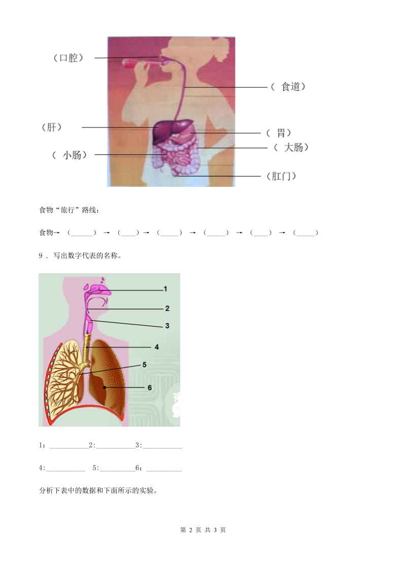 科学2019-2020年四年级上册4.1 身体的结构练习卷B卷_第2页