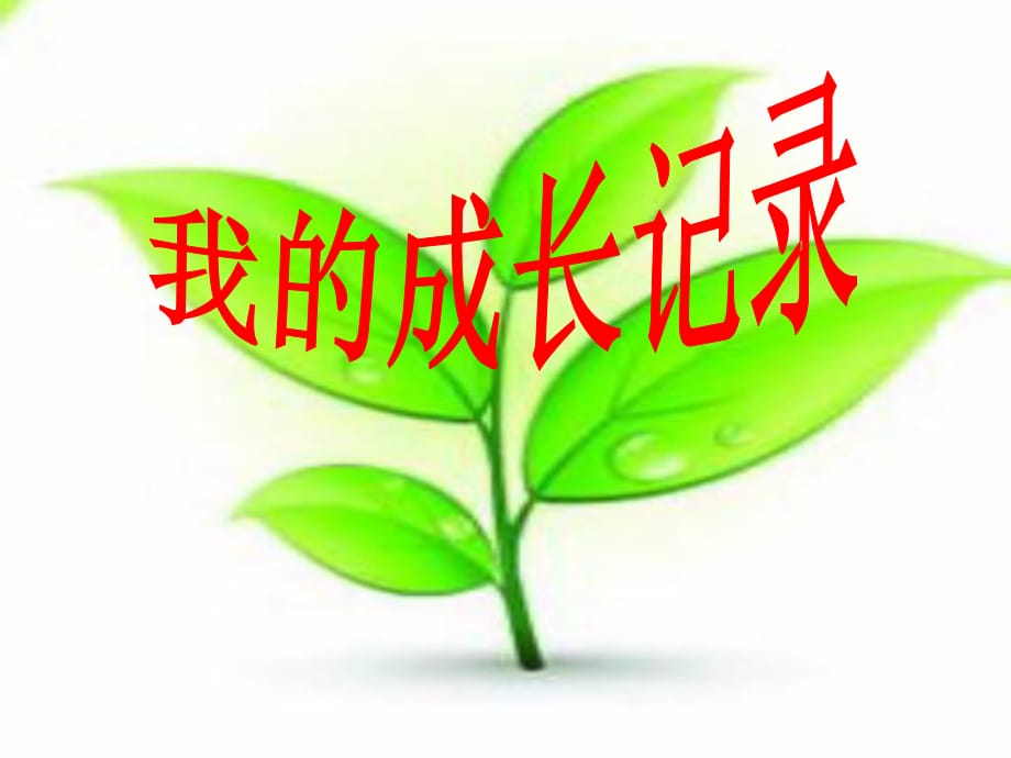 魯美版小學(xué)二年級(jí)品德與生活下冊(cè)《我的成長(zhǎng)記錄》_第1頁(yè)