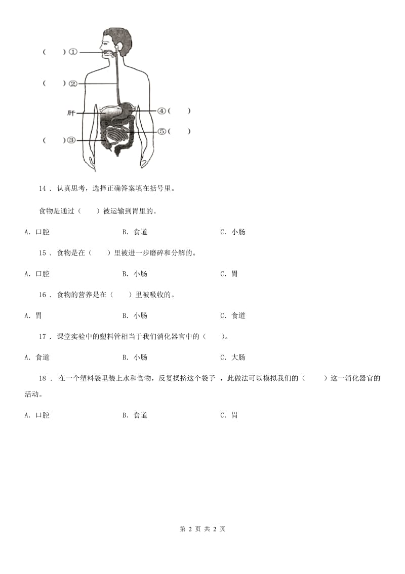 科学2019-2020学年四年级上册4.6 食物在口腔里的变化练习卷C卷_第2页