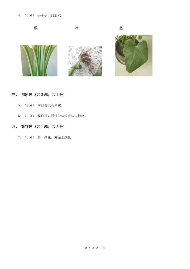 教科版小学科学一年级上学期第一单元第二课 《观察一棵植物》_第2页