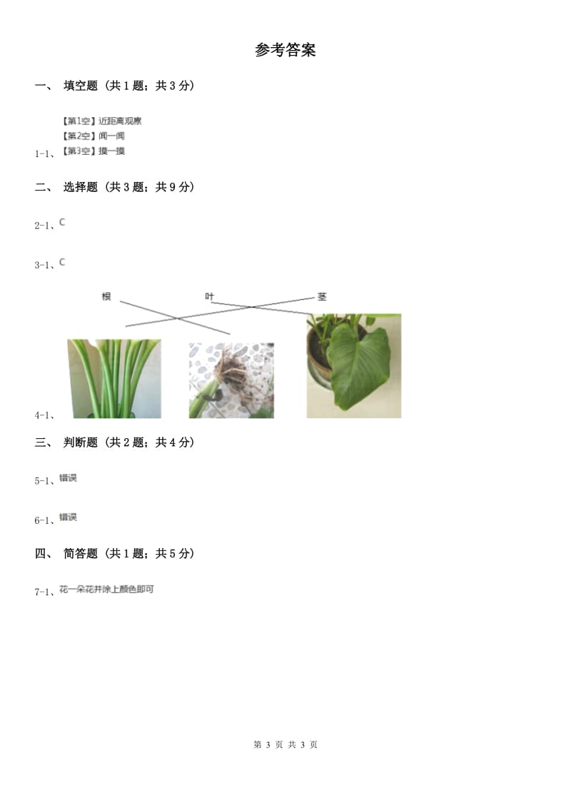 教科版小学科学一年级上学期第一单元第二课 《观察一棵植物》_第3页