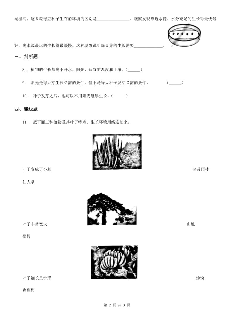 科学2020届五年级上册第3课时 观察绿豆芽的生长（II）卷_第2页