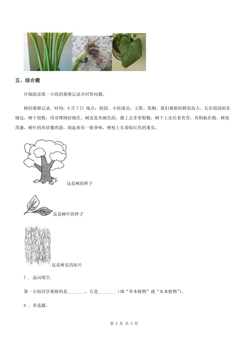 科学2019-2020年一年级上册1.2 观察一棵植物练习卷（II）卷_第2页