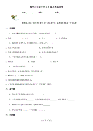 科學二年級下冊3.7 栽小蔥練習卷