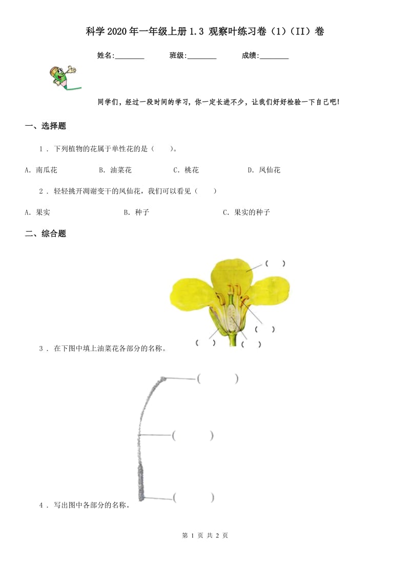 科学2020年一年级上册1.3 观察叶练习卷（1）（II）卷_第1页