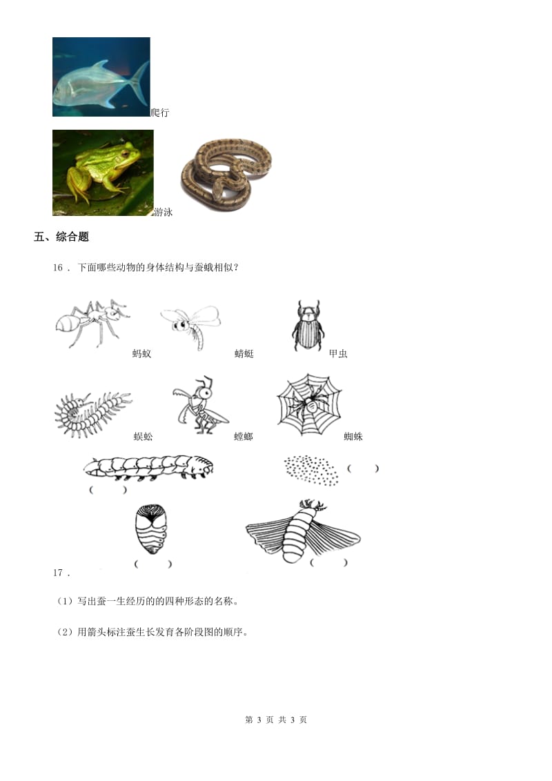 科学2019-2020学年三年级下册2.1 迎接蚕宝宝的到来练习卷B卷_第3页