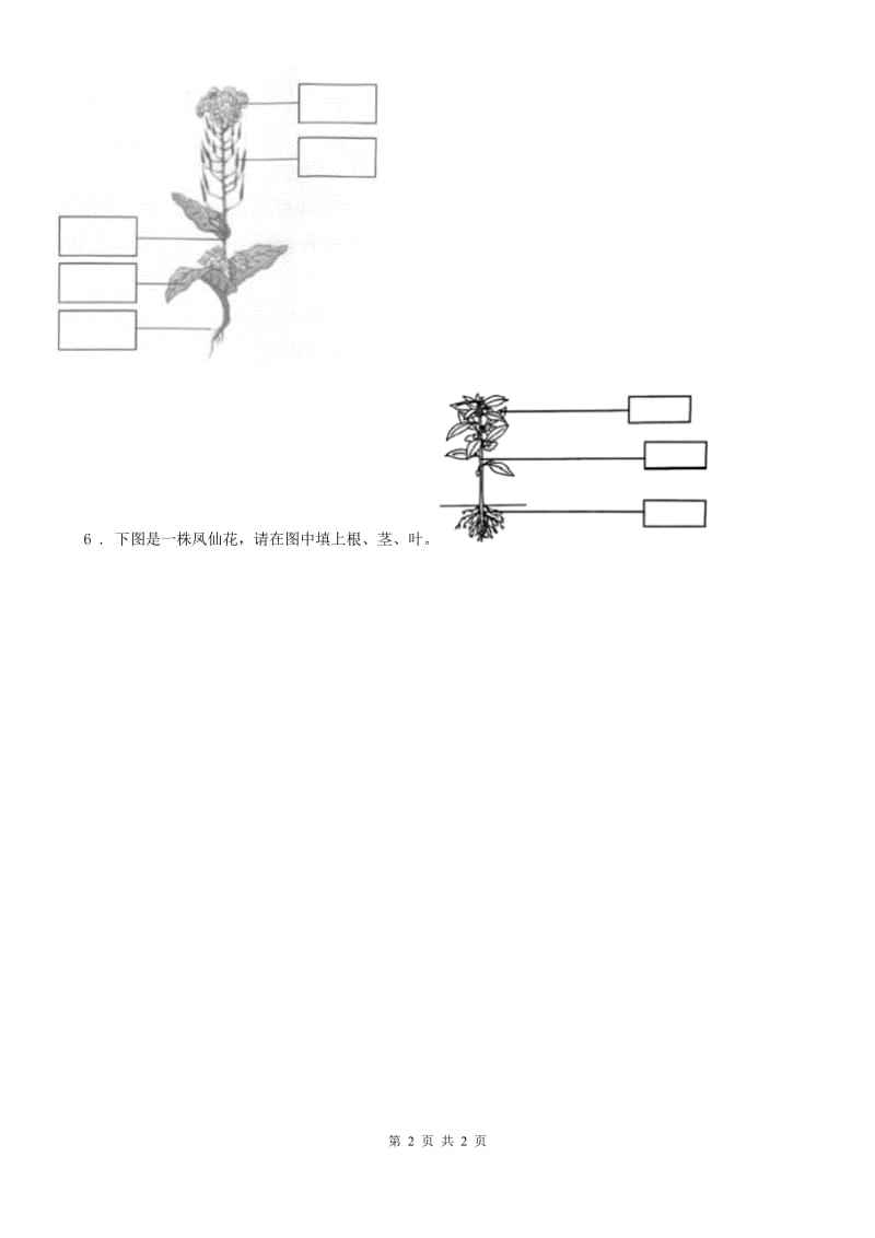 科学一年级上册1.2 观察一棵植物练习卷（1）_第2页