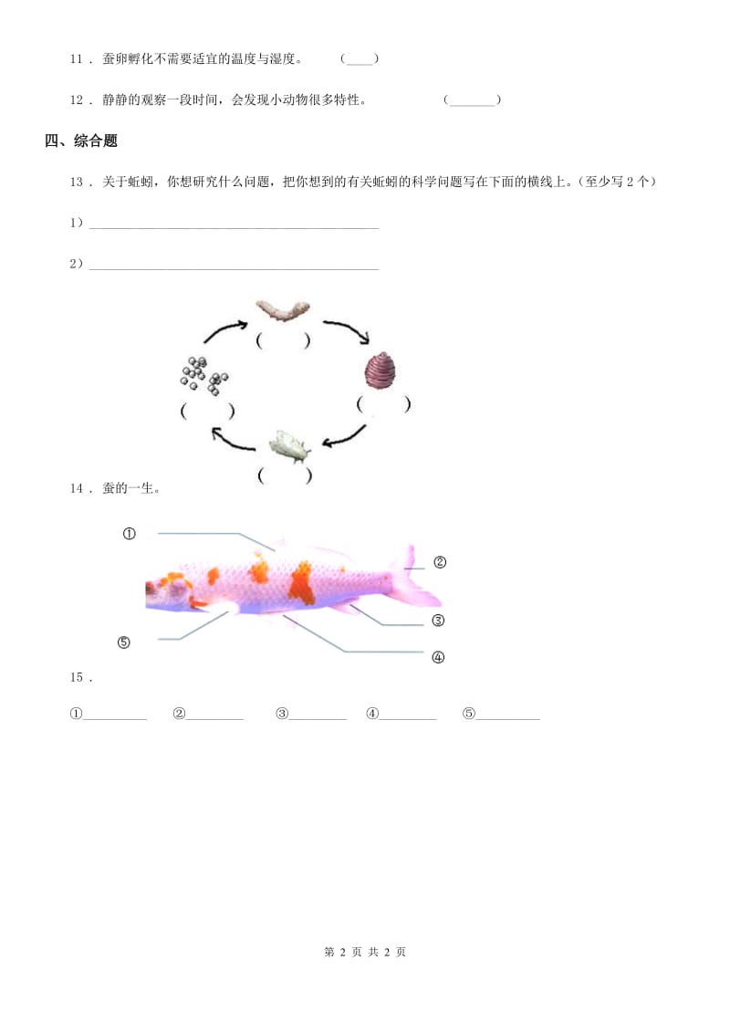 科学2020年三年级下册2.3 蚕长大了练习卷D卷_第2页