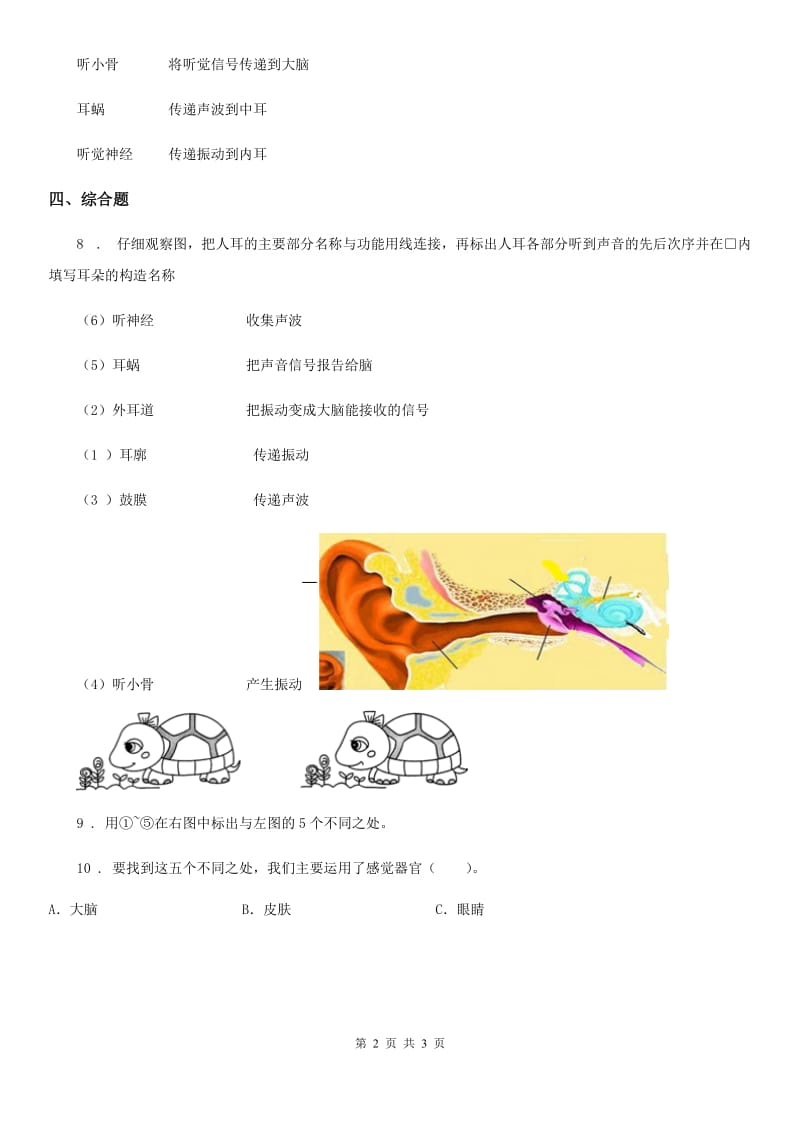 科学二年级下册第二单元全练全测_第2页