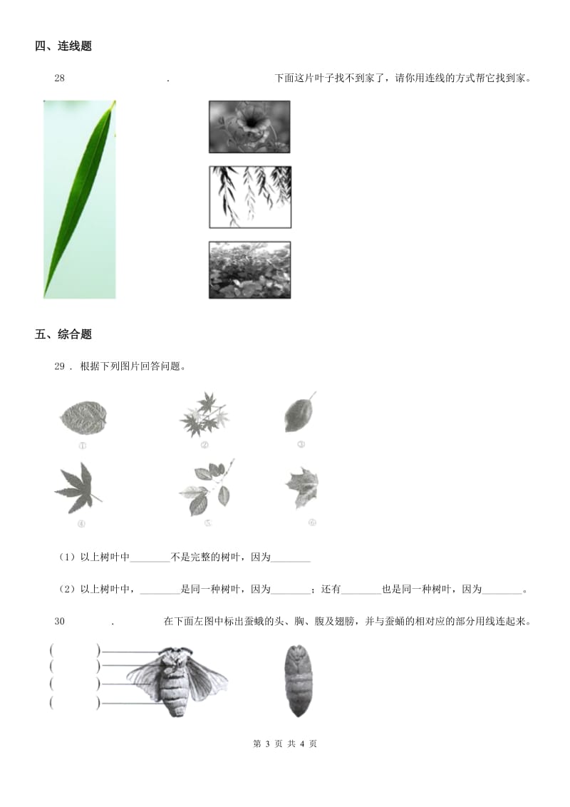 科学2020年三年级上册第二单元形成性测试卷（1）C卷_第3页