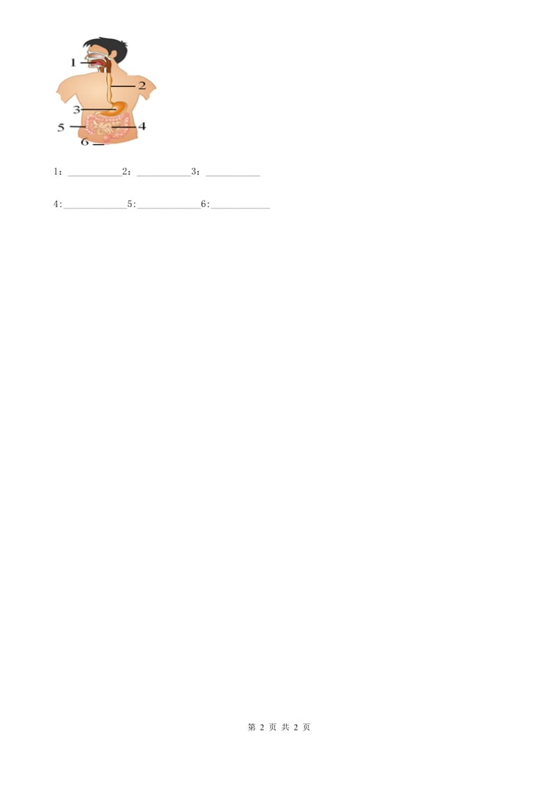 科学2019-2020学年度四年级上册4.6 食物在口腔里的变化练习卷D卷_第2页