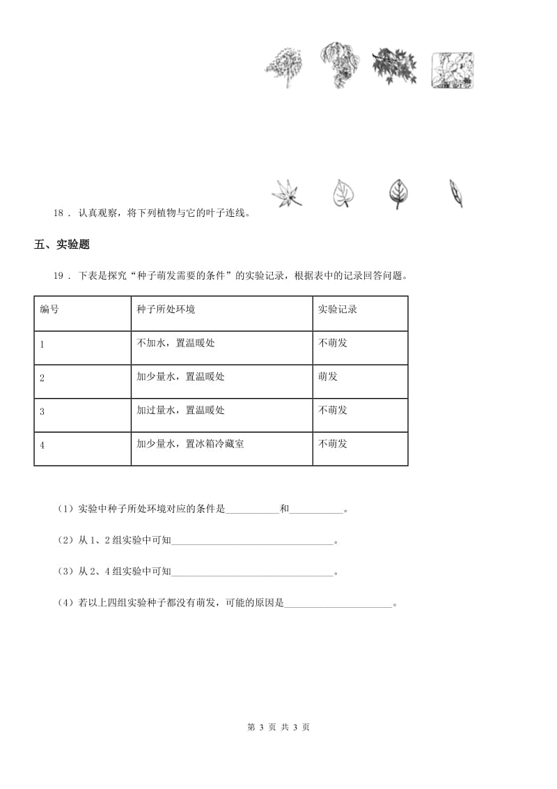 科学2020年三年级下册1.1 种子发芽了练习卷B卷_第3页