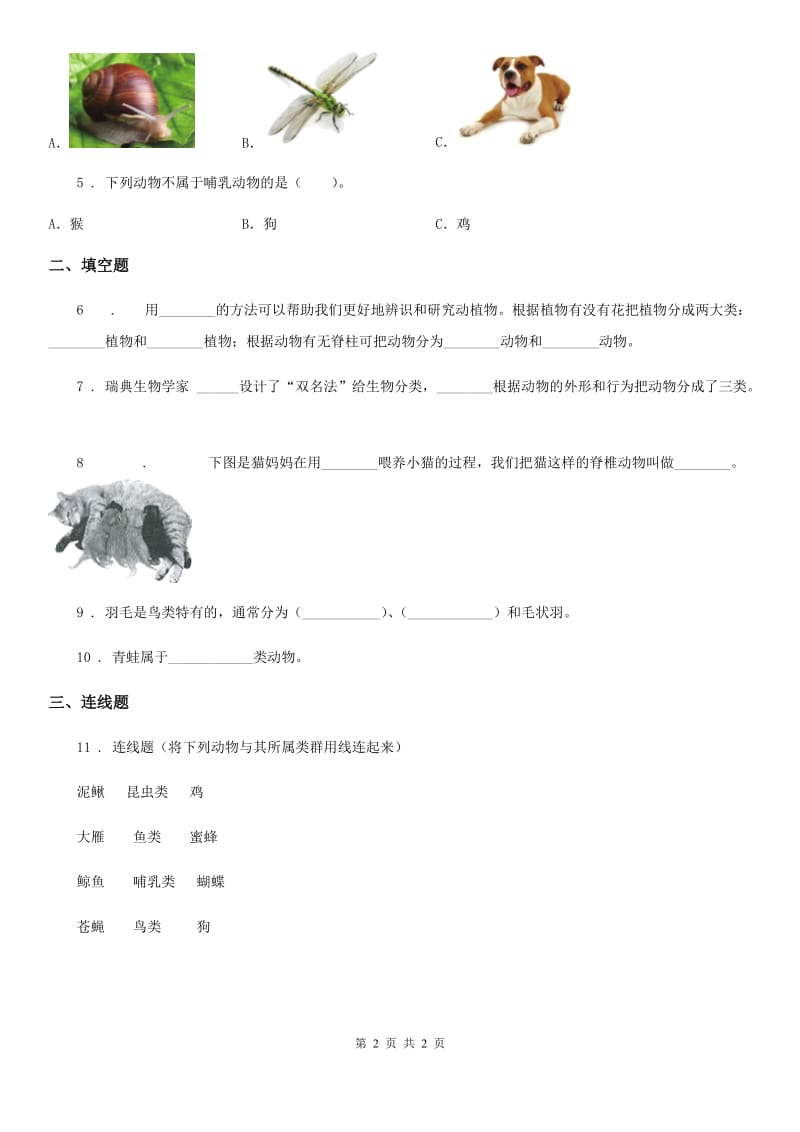 科学2020年六年级上册4.4 种类繁多的动物练习卷B卷_第2页