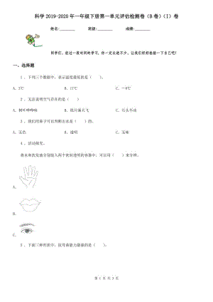 科學(xué)2019-2020年一年級(jí)下冊(cè)第一單元評(píng)估檢測(cè)卷（B卷）（I）卷