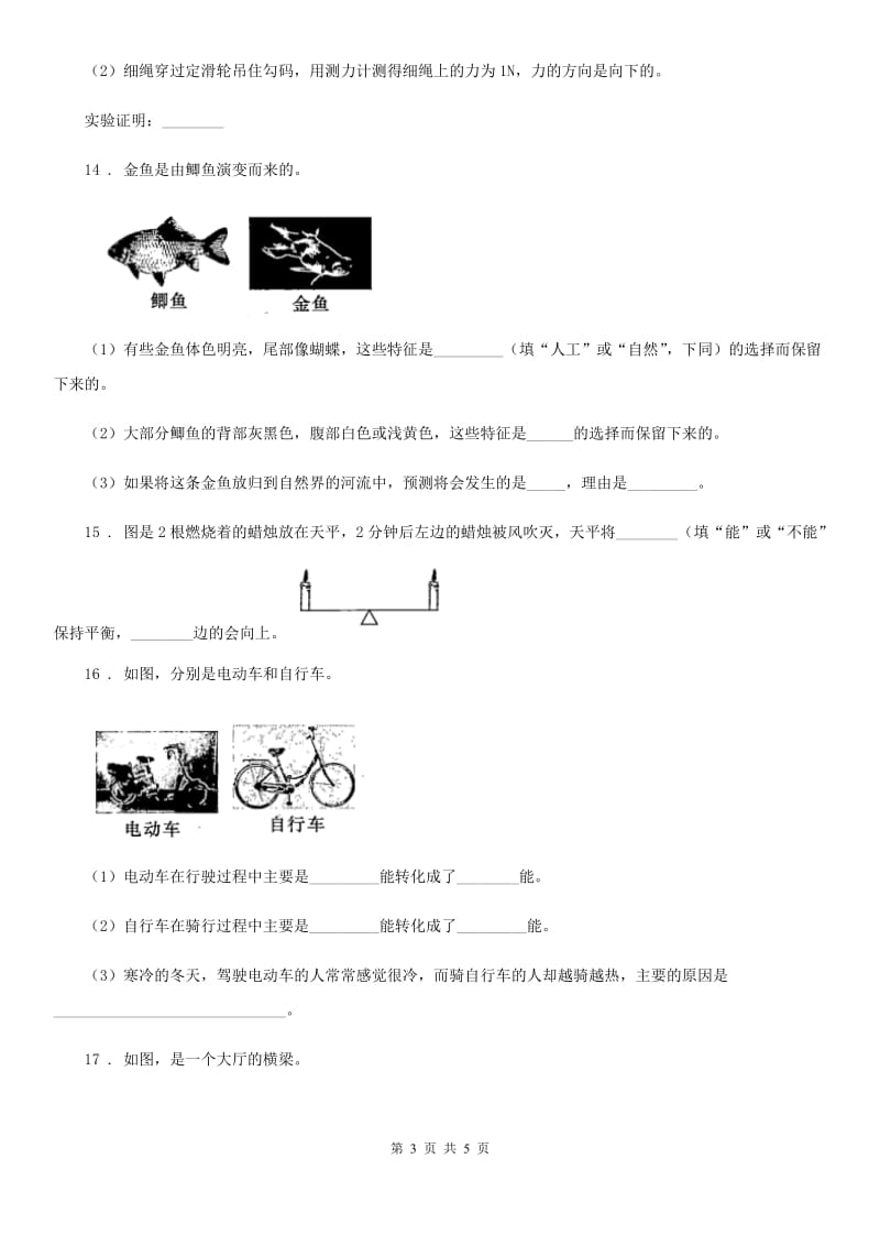 科学2020届六年级上册滚动测试（十七）B卷_第3页