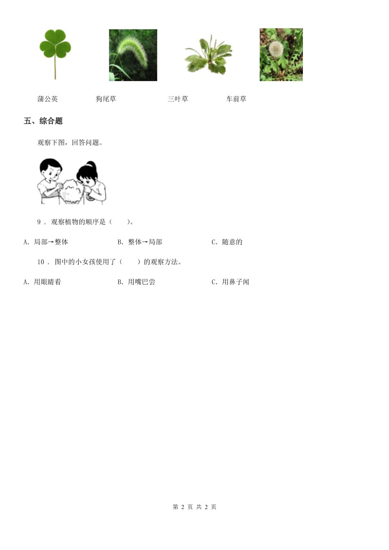 科学2019-2020学年一年级上册1.1 我们知道的植物练习卷B卷_第2页