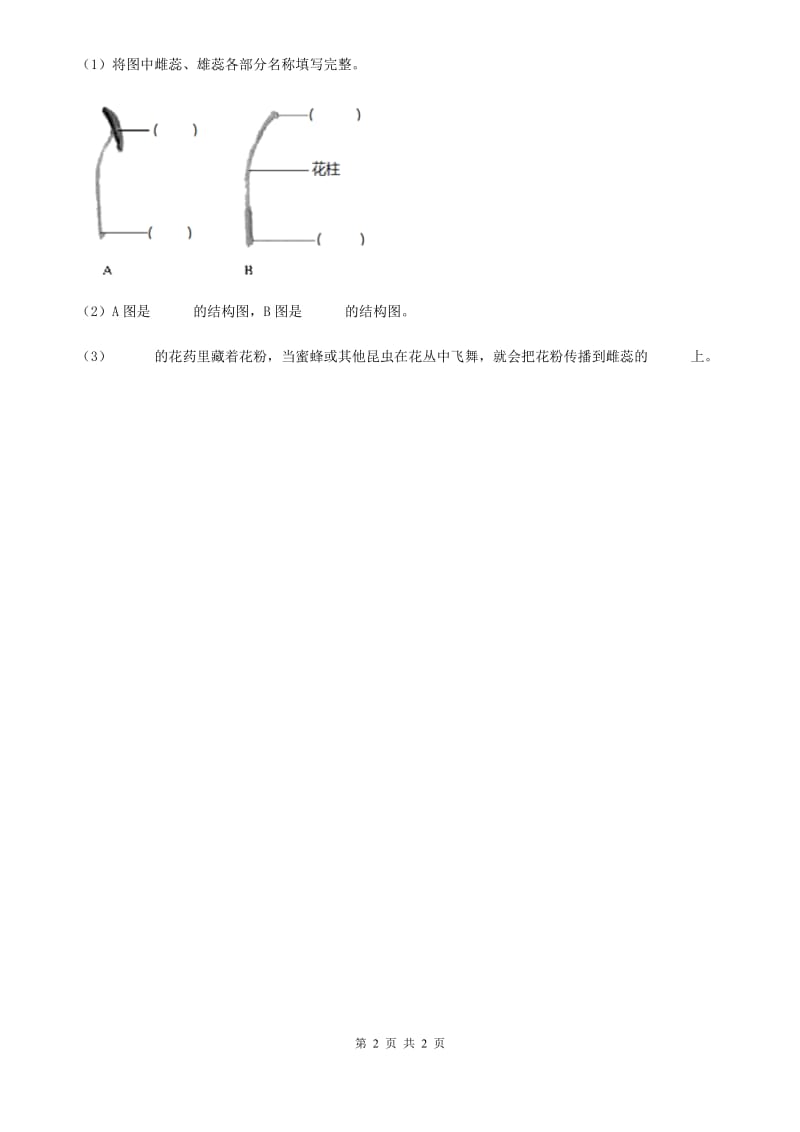 科学2019-2020学年一年级上册1.3 观察叶练习卷B卷（模拟）_第2页