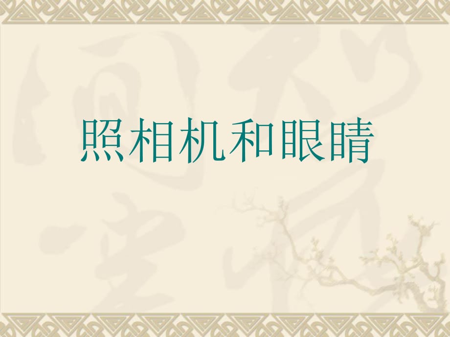 青島版小學科學五年級下冊《照相機與眼睛》教學_第1頁