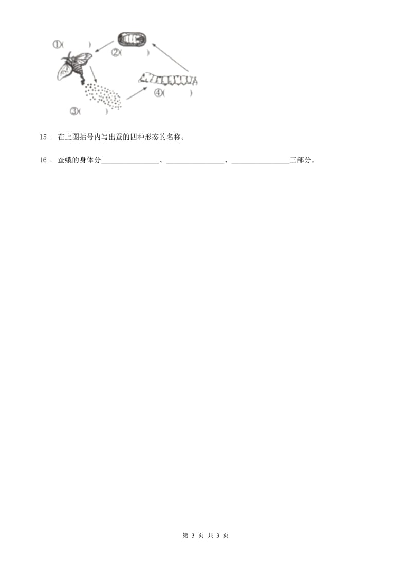 科学2020届三年级下册2.6 蚕的一生练习卷B卷_第3页