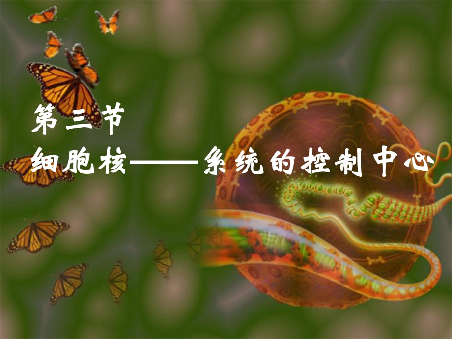 高一生物教学资料细胞核——系统的控制中心_第1页