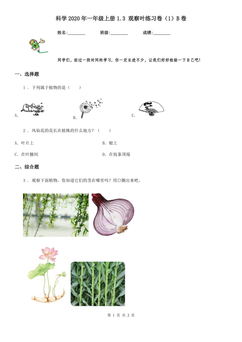 科学2020年一年级上册1.3 观察叶练习卷（1）B卷_第1页