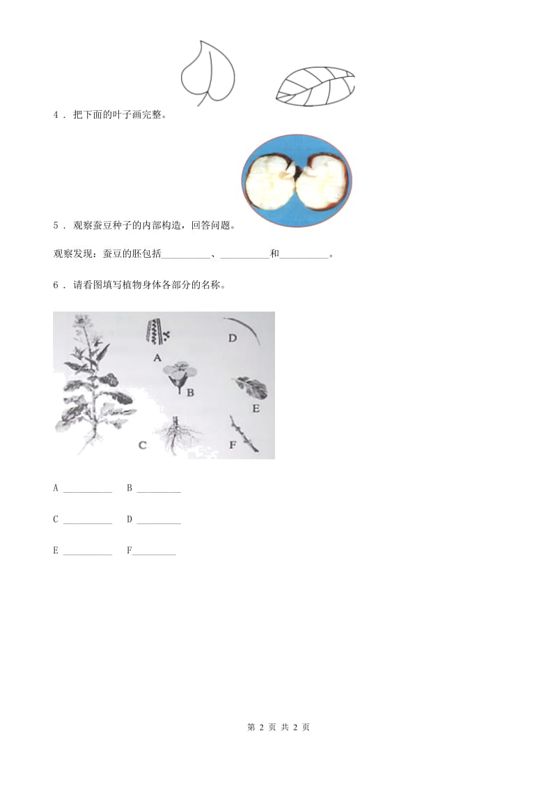 科学2020年一年级上册1.3 观察叶练习卷（1）B卷_第2页