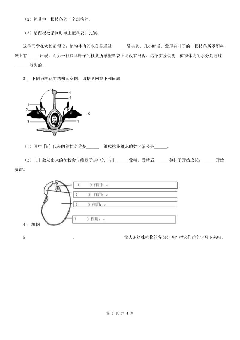 科学三年级上册第一单元质量检测试题_第2页