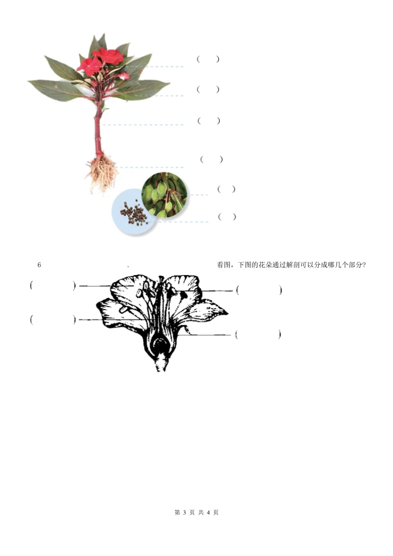 科学三年级上册第一单元质量检测试题_第3页