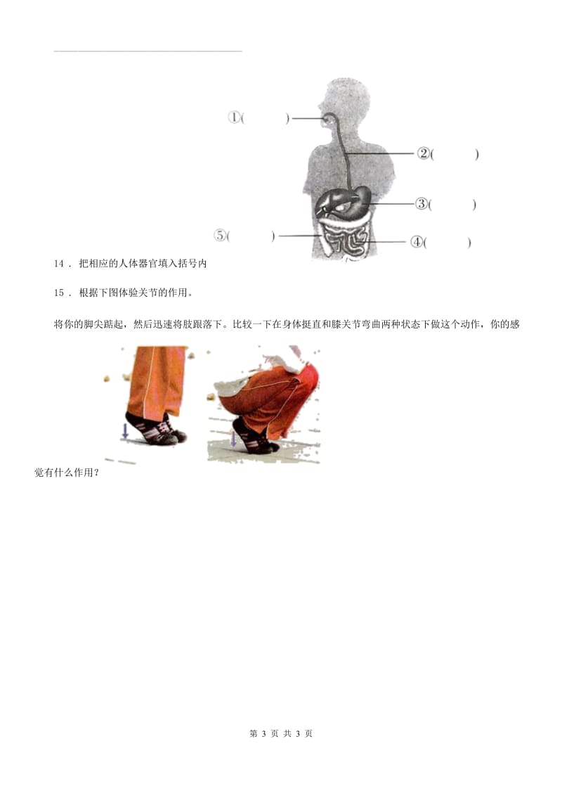 科学2019-2020年四年级上册4.4 运动起来会怎样（二）练习卷C卷_第3页