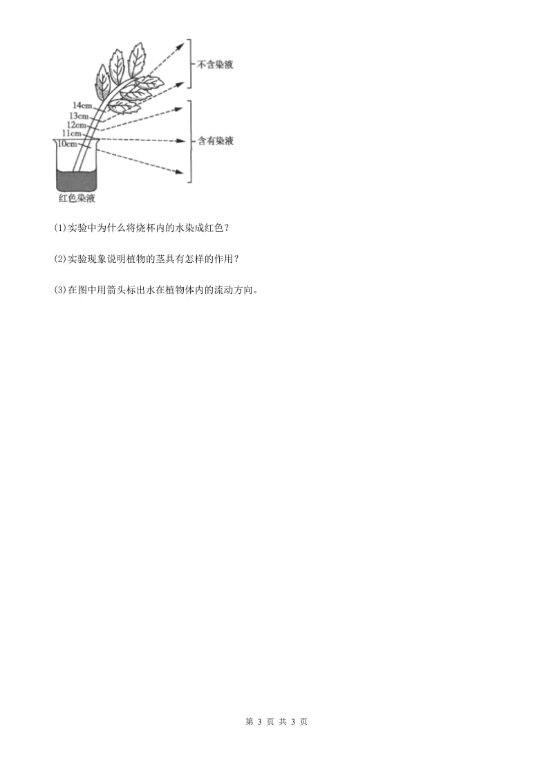 科学2020年三年级下册1.5 茎越长越高练习卷（I）卷（模拟）_第3页