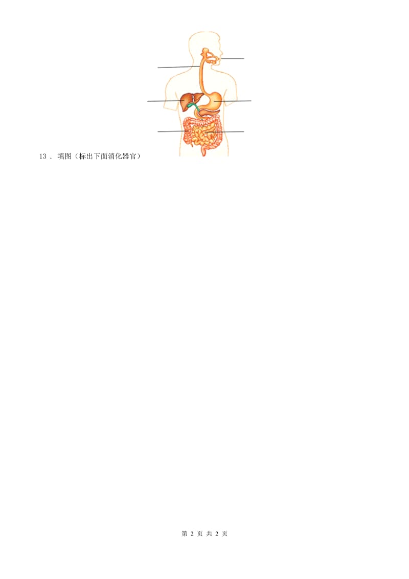 科学2020版四年级上册4.6 食物在口腔里的变化练习卷B卷_第2页