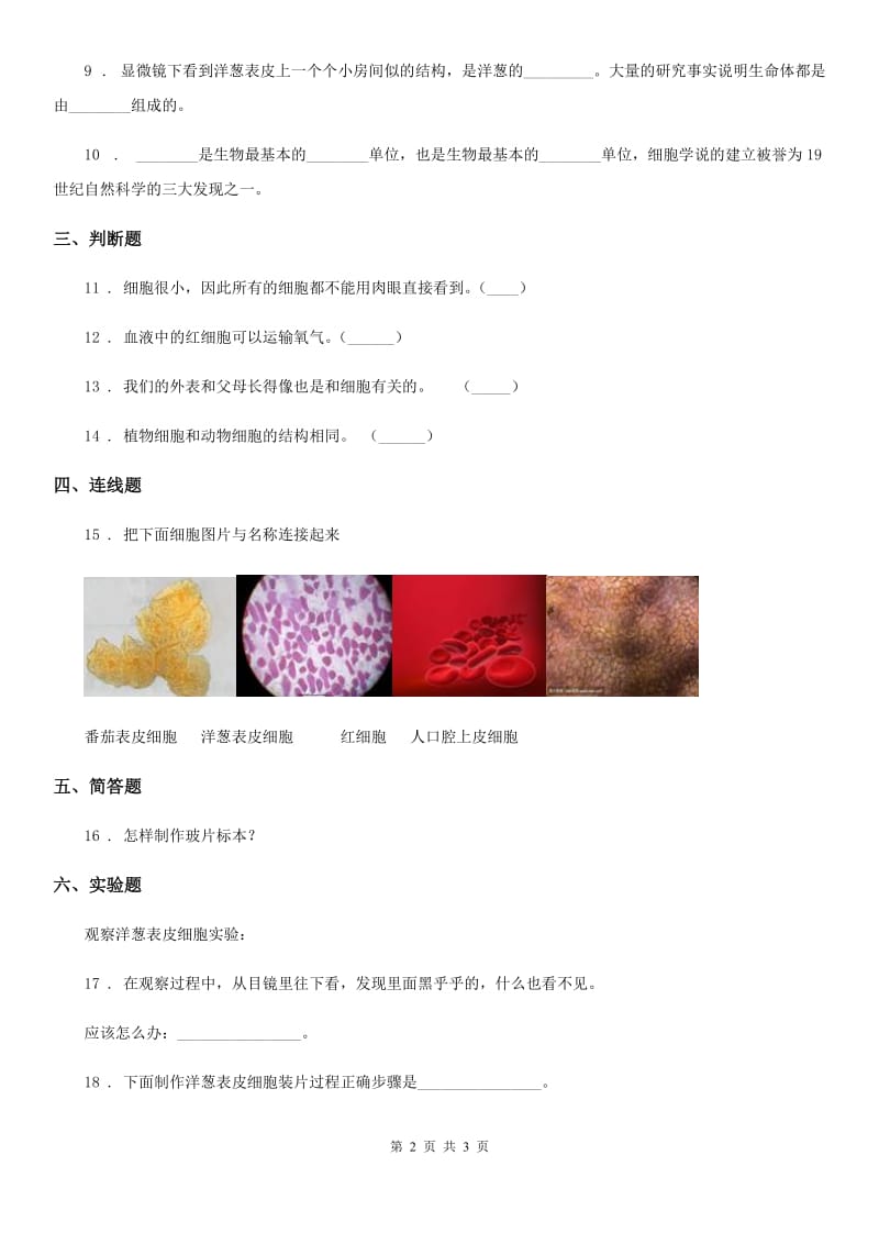 北京市科学六年级下册1.6 用显微镜观察身边的生命世界（二）练习卷_第2页