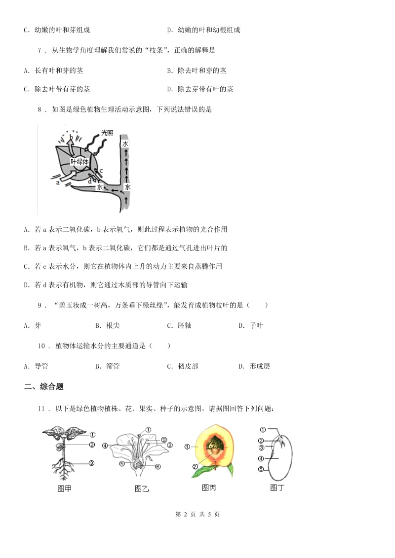 河北省2019版生物八年级上册《4.1.6芽的类型和发育》测试题D卷_第2页