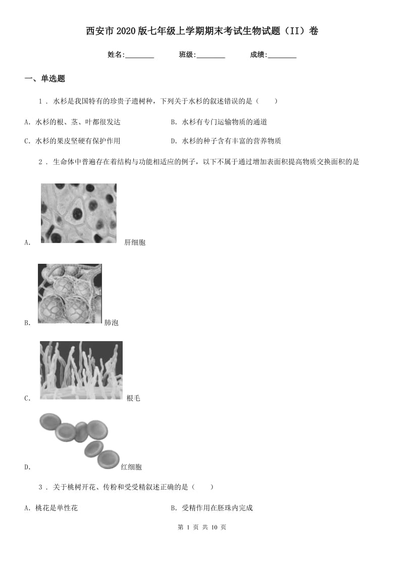 西安市2020版七年级上学期期末考试生物试题（II）卷_第1页