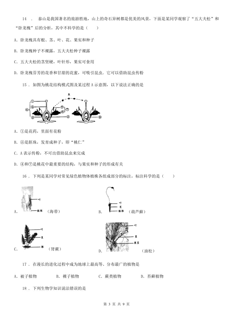 七年级生物上册：裸子植物专题训练试题_第3页