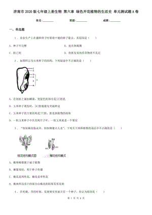 濟(jì)南市2020版七年級上冊生物 第六章 綠色開花植物的生活史 單元測試題A卷