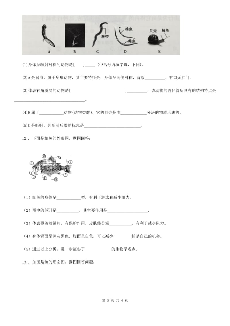 重庆市2019年生物八年级上册章节测试题C卷_第3页