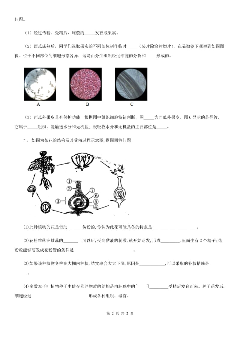 太原市2019年生物七年级上册2.2.3植物体的结构层次同步检测（II）卷_第2页