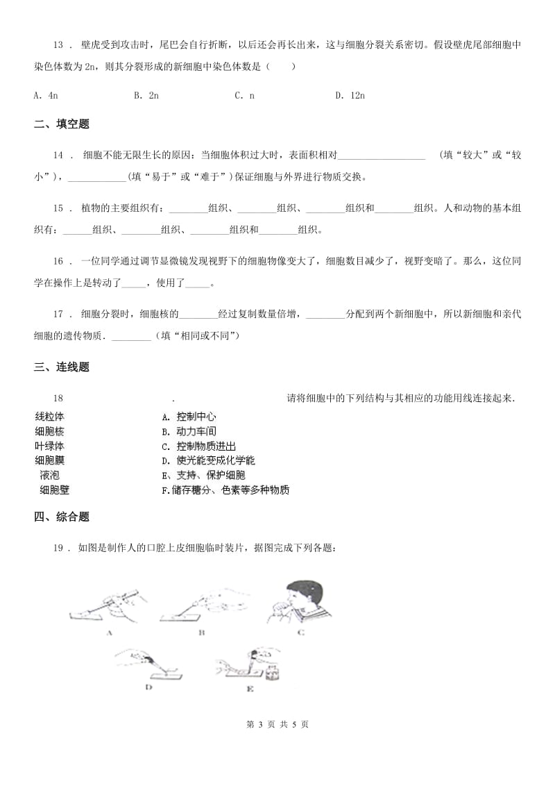 七年级上册生物 1.2观察生命结构 单元测试题_第3页